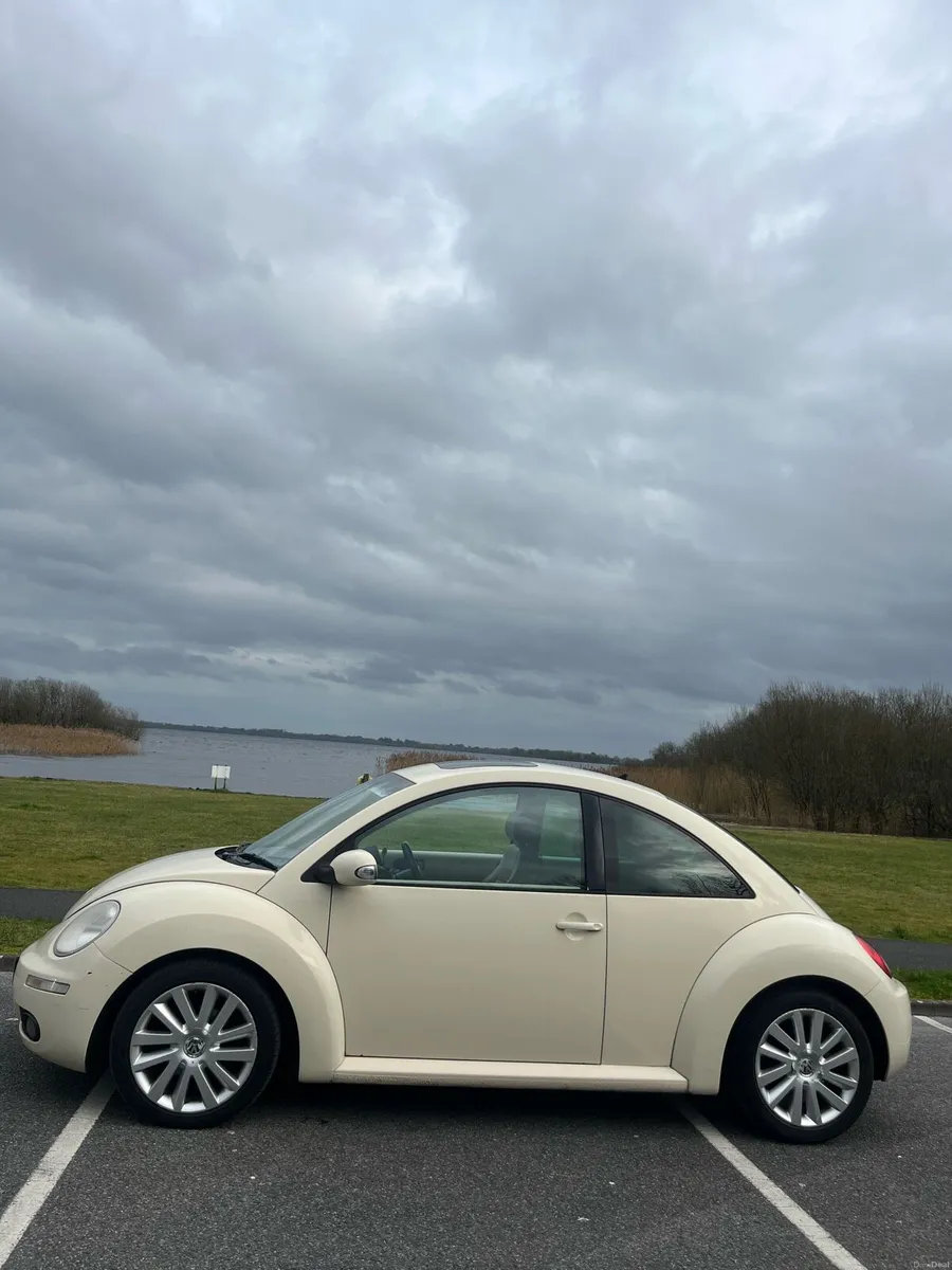 Volkswagen Beetle - Image 2
