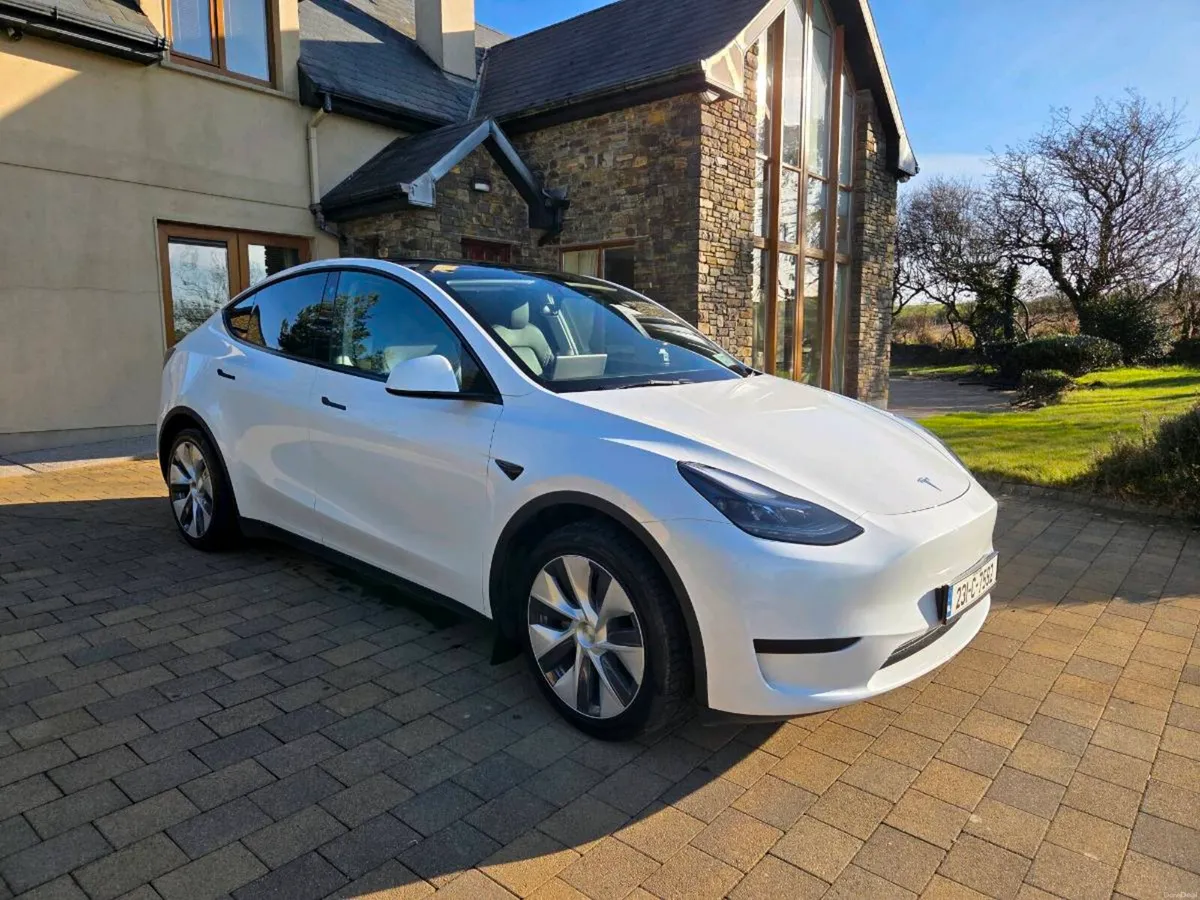 Tesla Model Y - Image 1