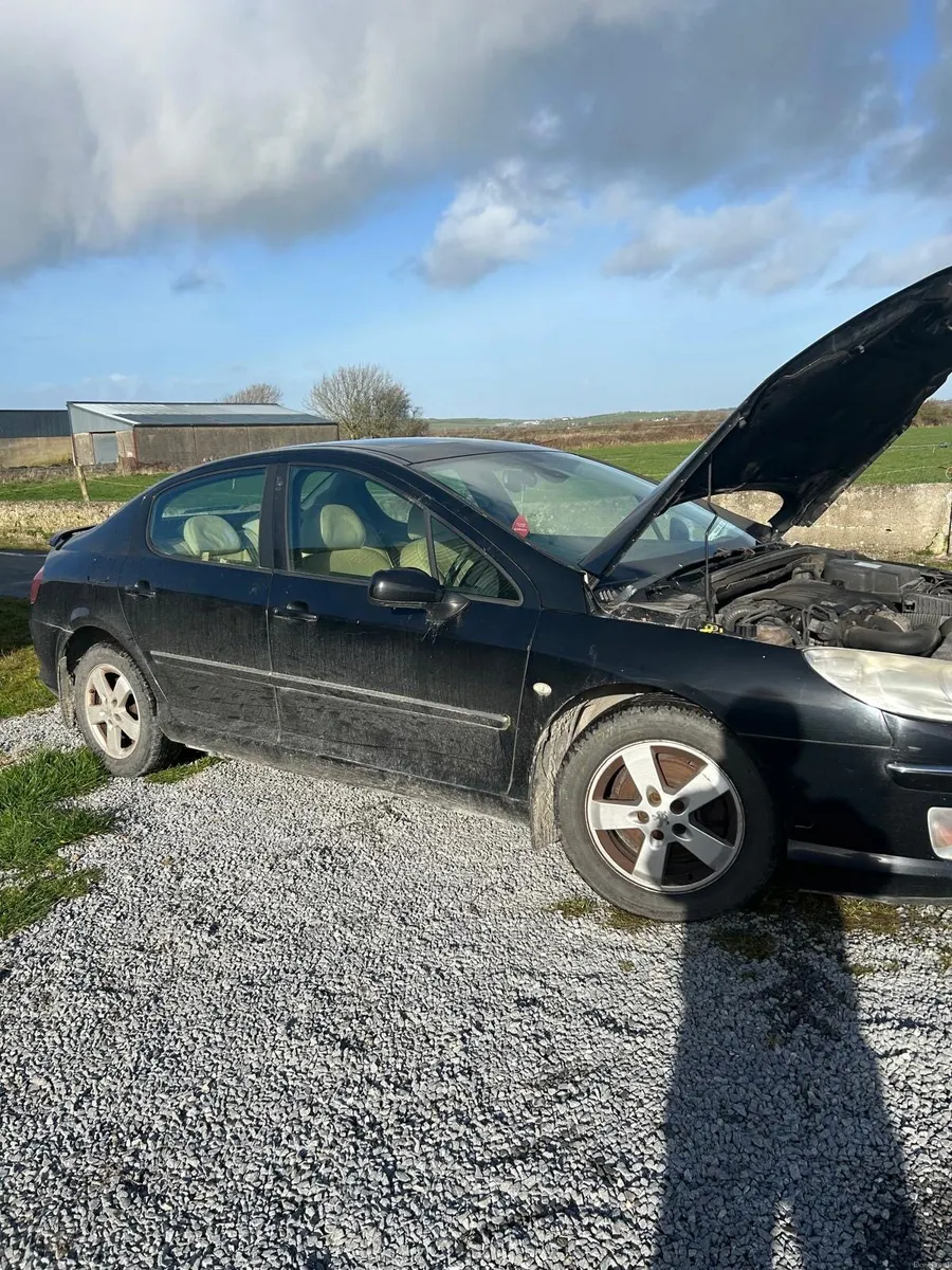 Peugeot 407 - Image 1