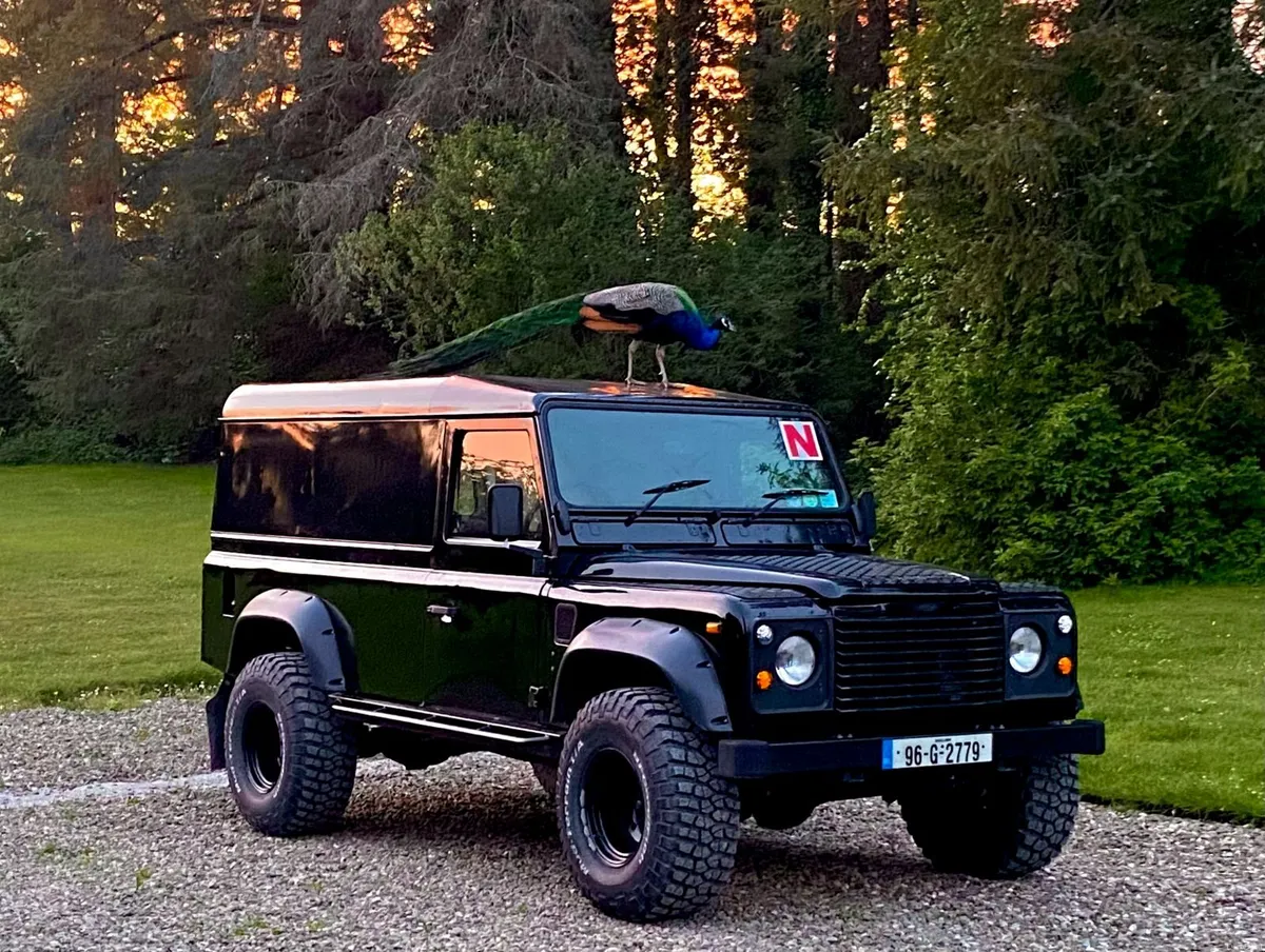 Land Rover Defender 110 2.5L 1996 - Image 1