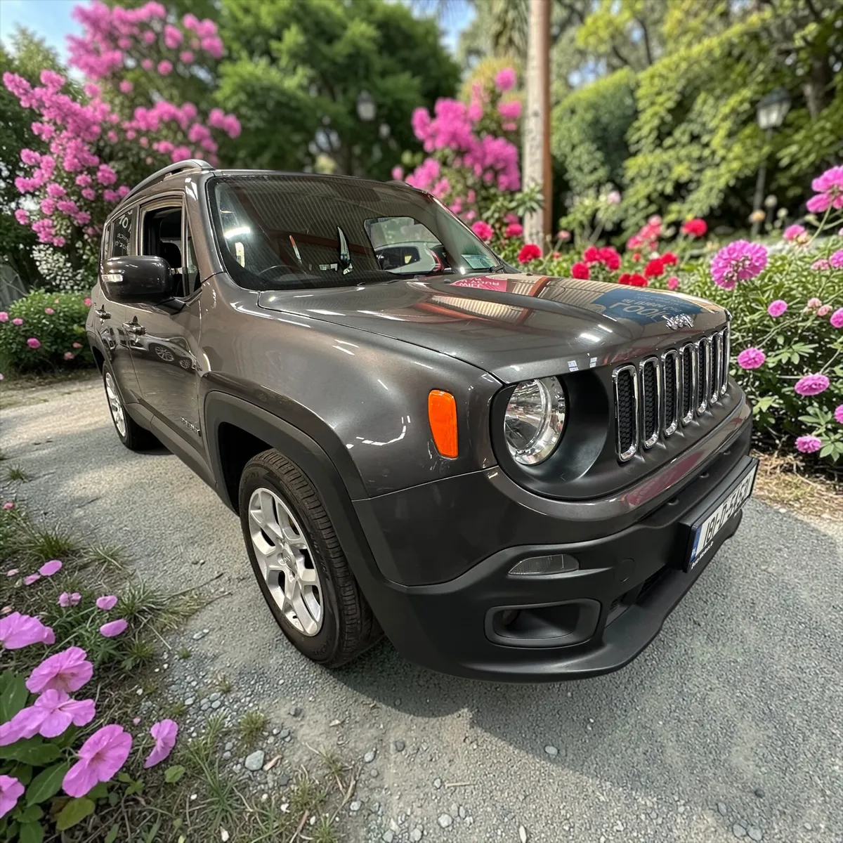2018 Jeep  Renegade  1.6 Multijet 120PS Low Miles - Image 3
