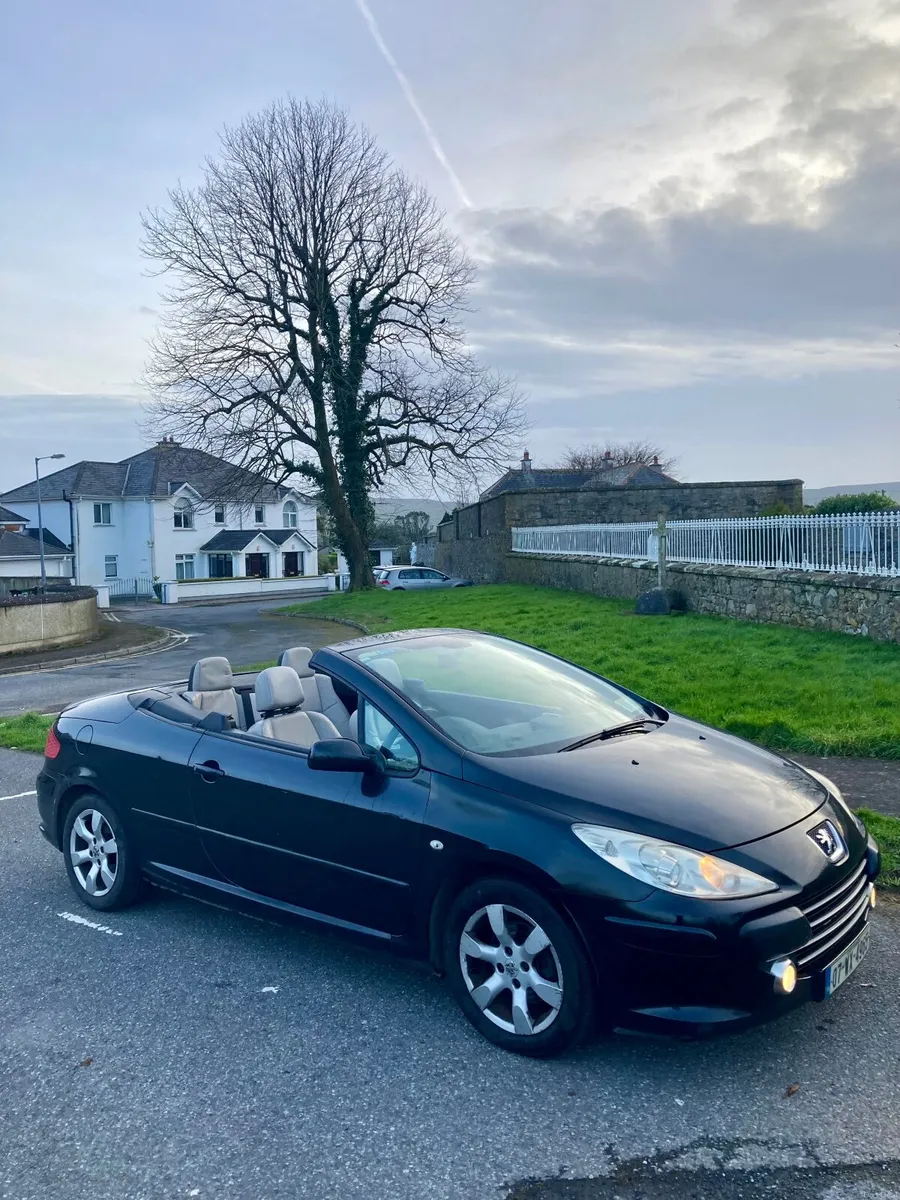 Peugeot 307 2007 - Image 1