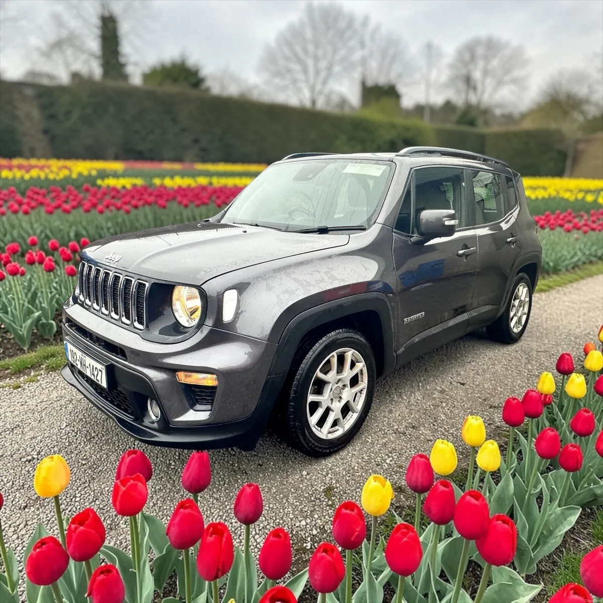 2019 Jeep Renegade 1.6 MultiJet Diesel Automatic - Image 3