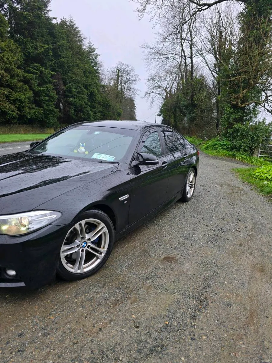 BMW 5 Series D F10 Msport Auto - Image 3