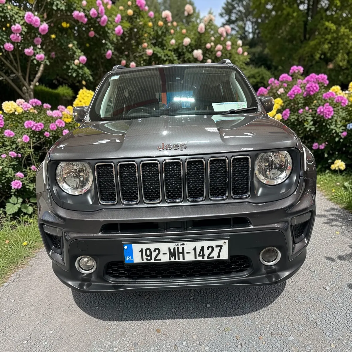 2019 Jeep Renegade 1.6 MultiJet Diesel Automatic - Image 2