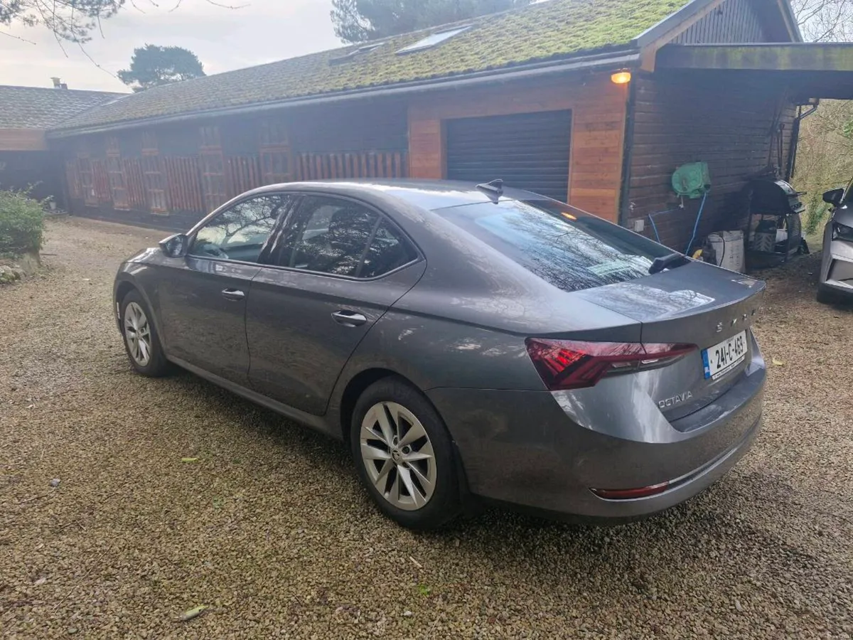 Skoda Octavia - Image 2