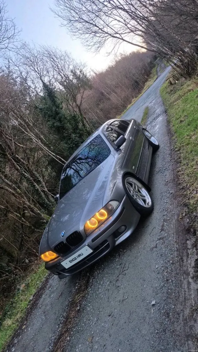 E39 530d - Image 3
