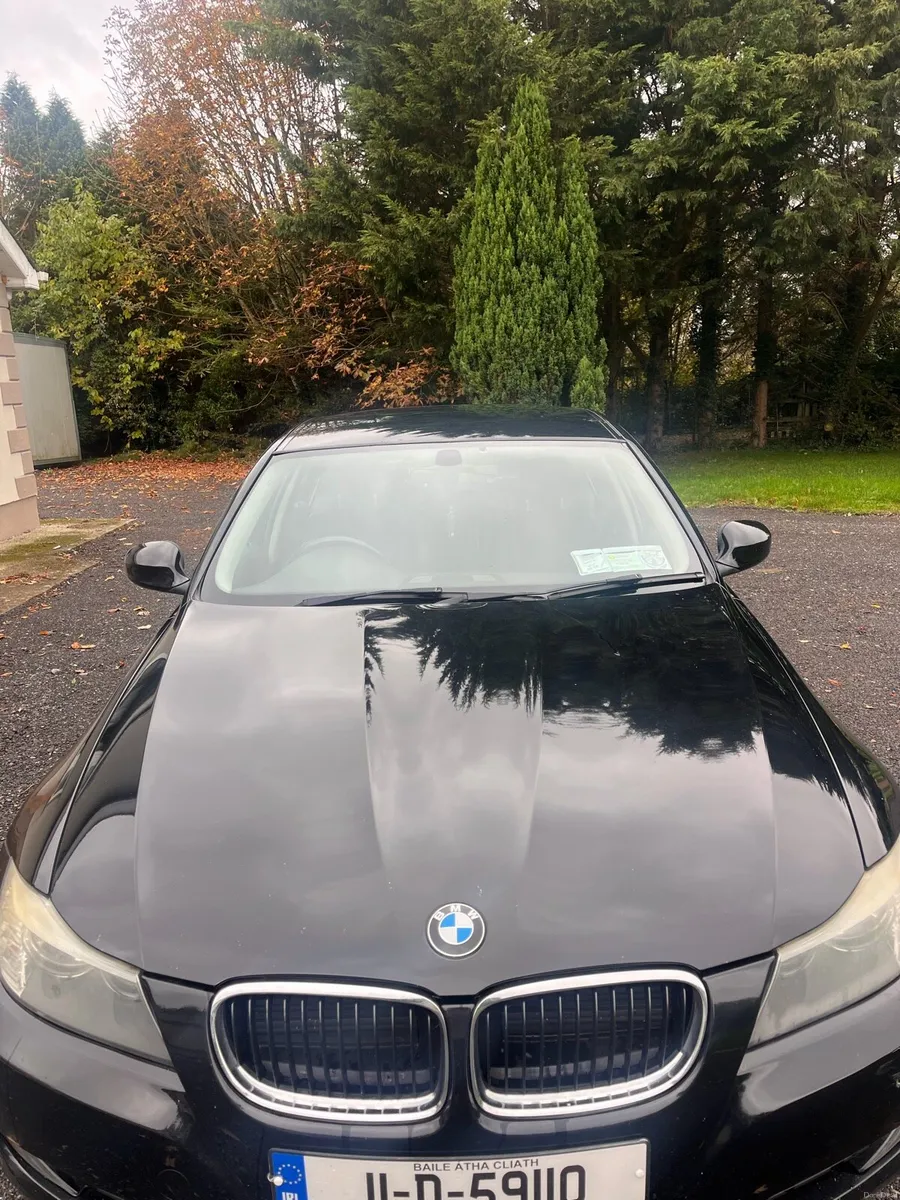 2011 BMW 320D - Image 3