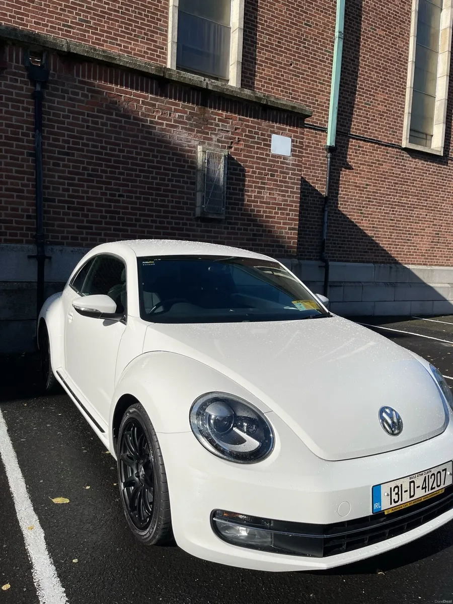 Beetle - Image 2
