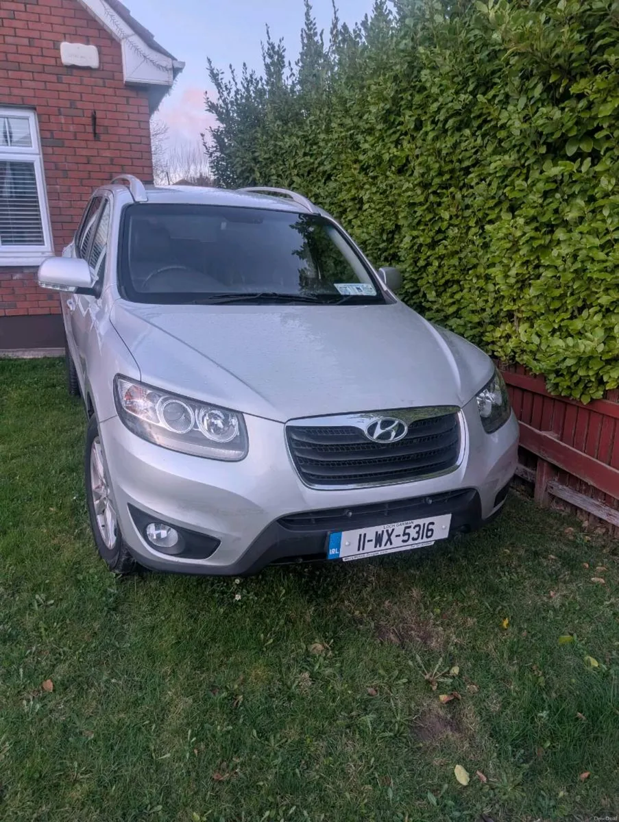 Shane Connolly - Image 2