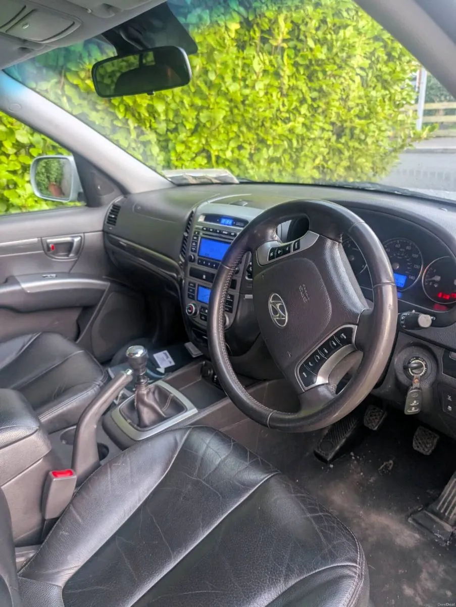 Shane Connolly - Image 4