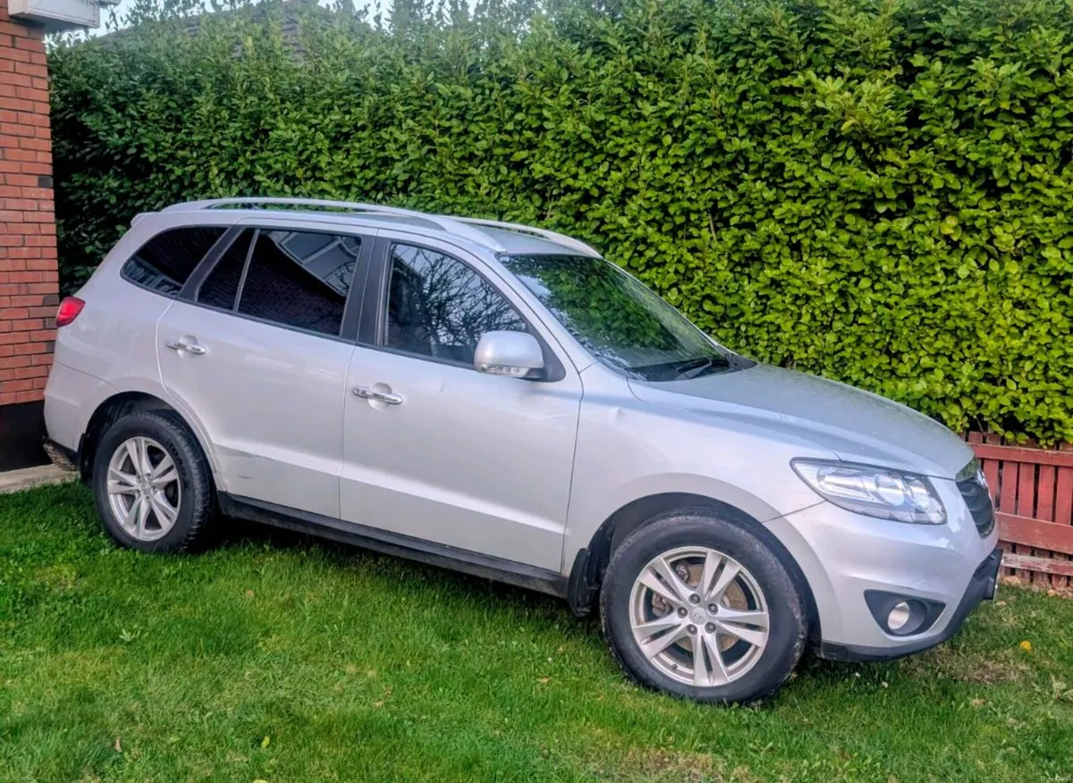 Shane Connolly - Image 1