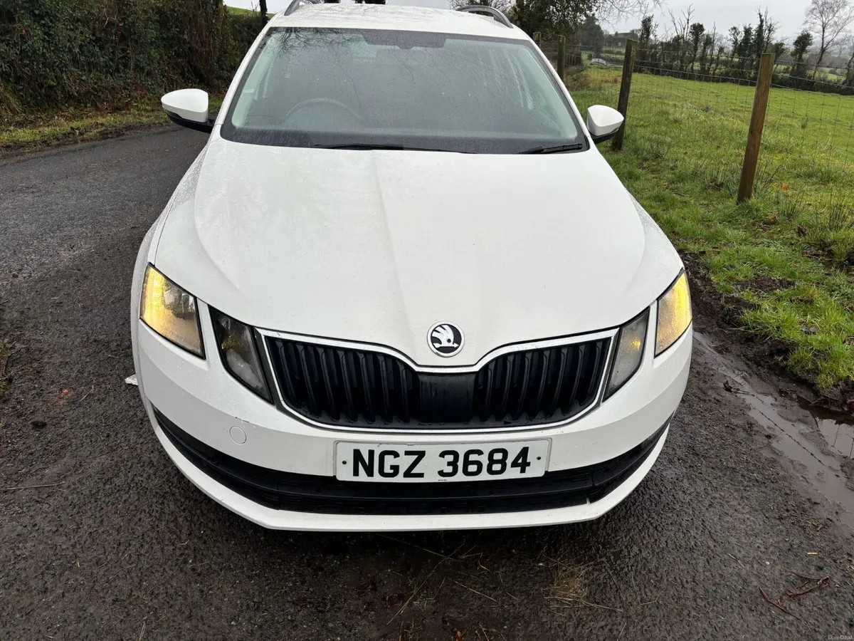 ‘19 Skoda Octavia SE Tdi (LOW NOX) - Image 1