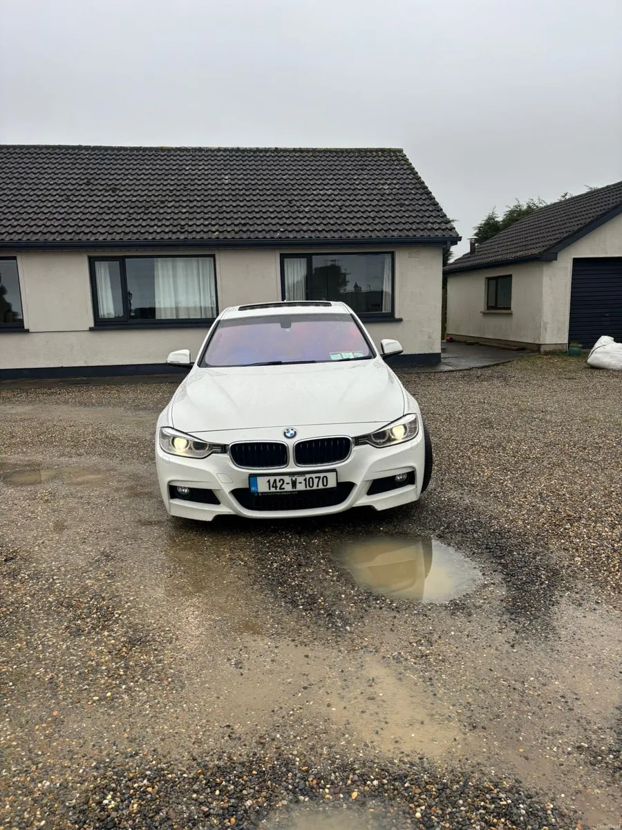 2014 BMW 3 Series 142 BMW 318 M Sport - Image 2