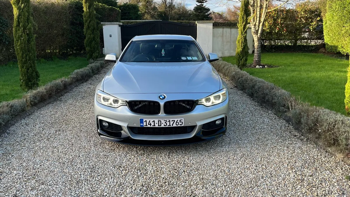 BMW 420d New timing chain - Image 2