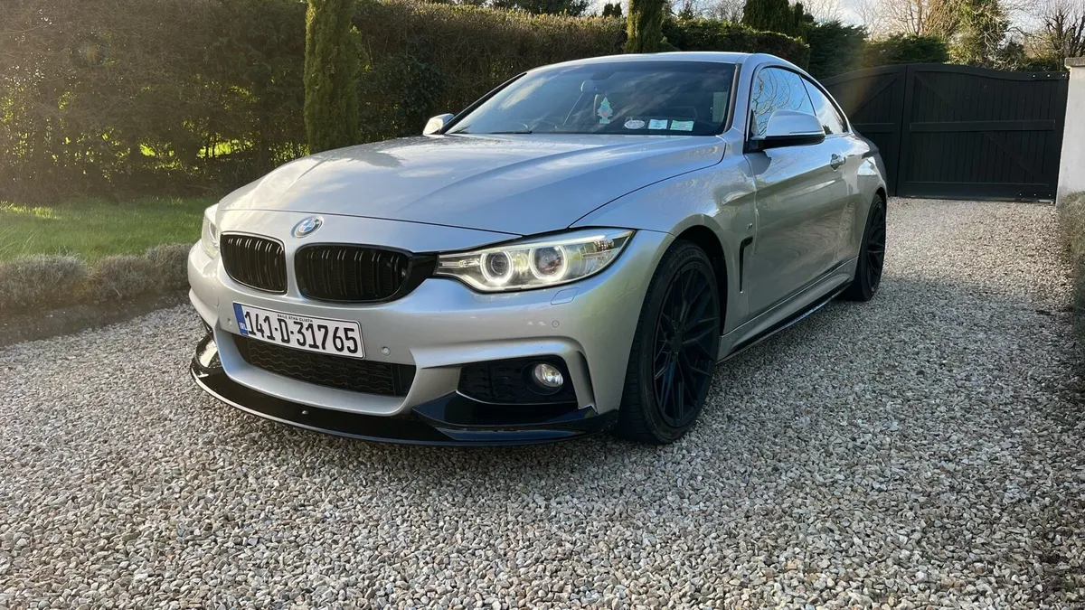 BMW 420d New timing chain - Image 3