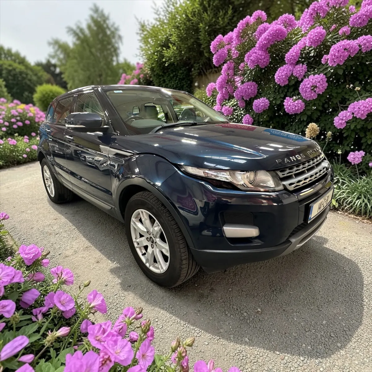 Range Rover Evoque 2.2 TD4 150HP 4WD PURE TECH - Image 3