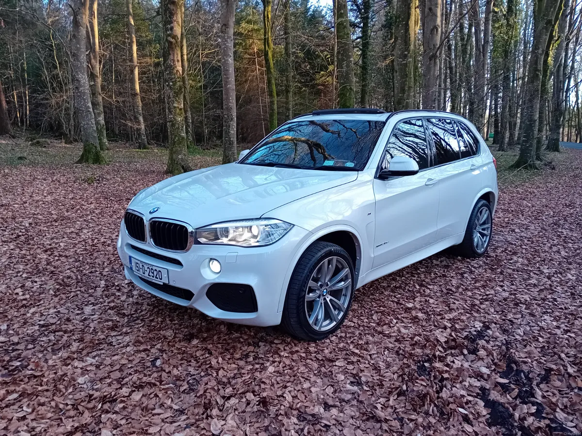 151 BMW X5, 3.0D M-SPORT AUTO 4X4 7 SEATER - Image 1
