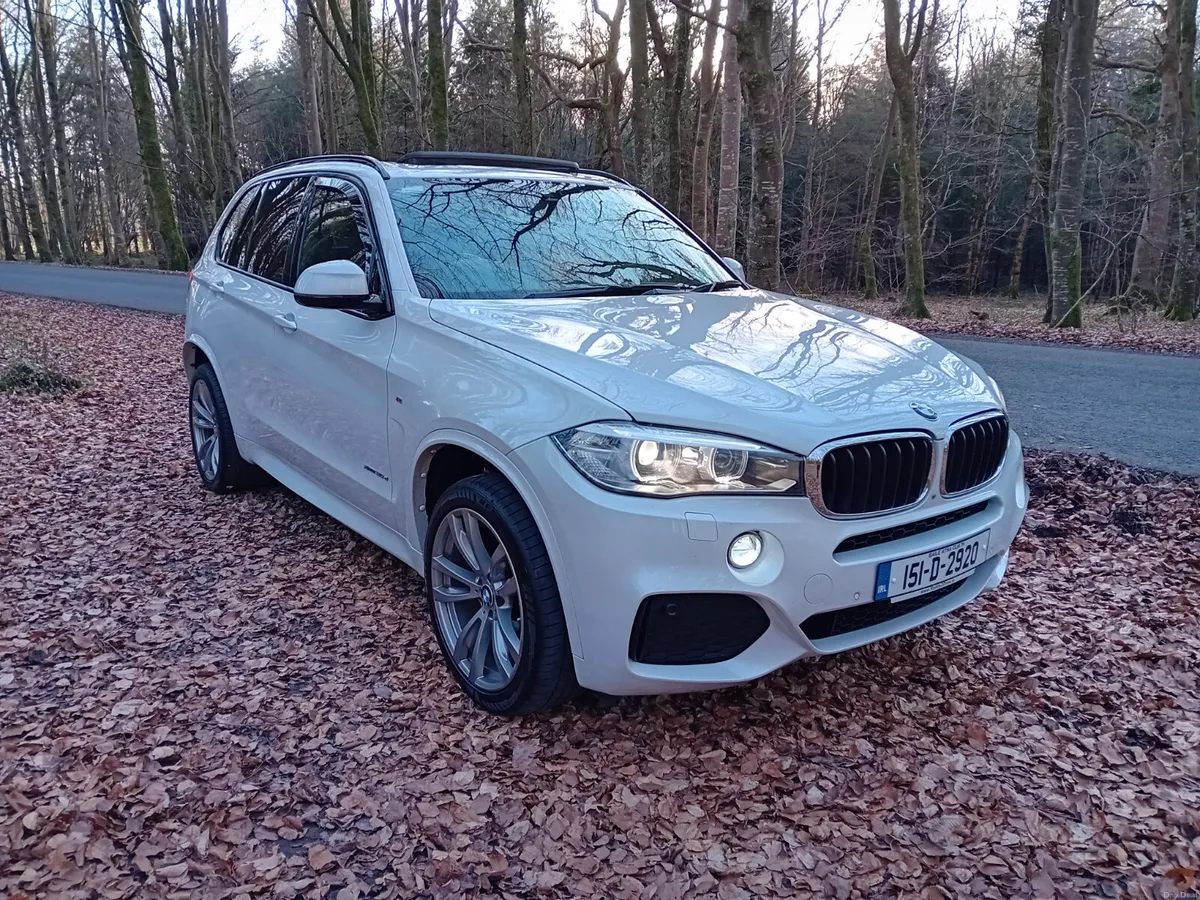 151 BMW X5, 3.0D M-SPORT AUTO 4X4 7 SEATER - Image 3