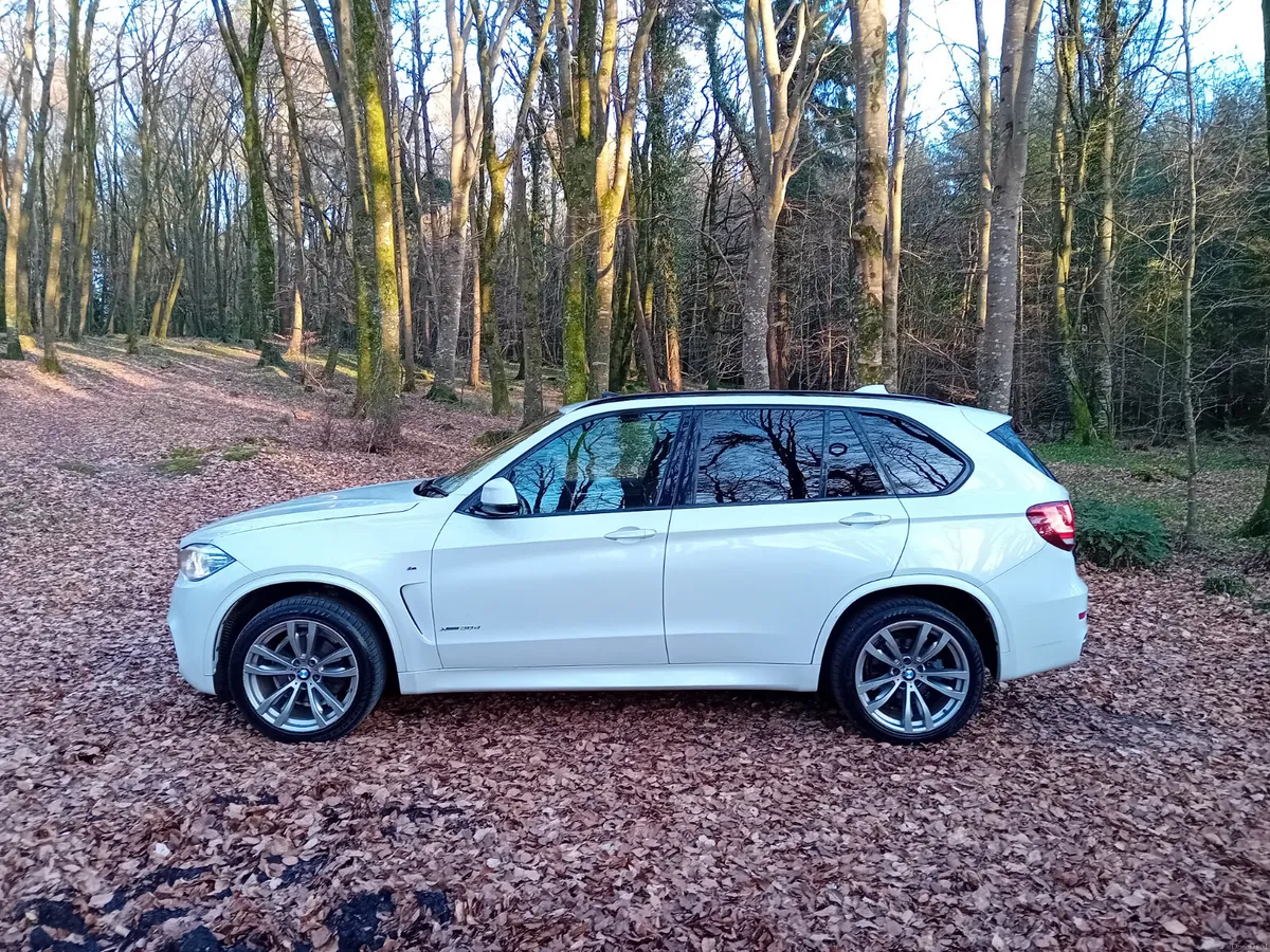 151 BMW X5, 3.0D M-SPORT AUTO 4X4 7 SEATER - Image 4
