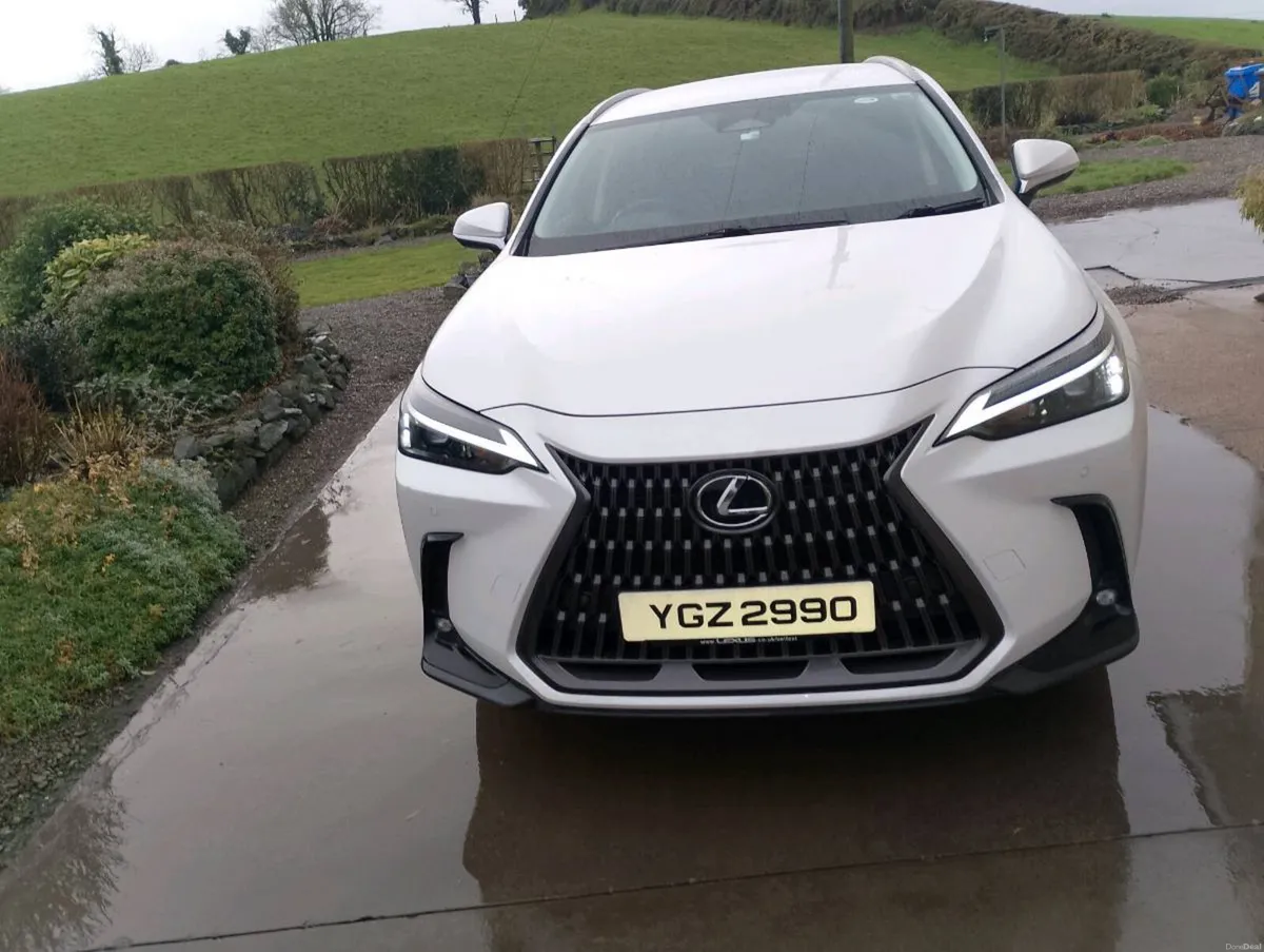 Lexus NX350 H  Premium AWD - Image 2