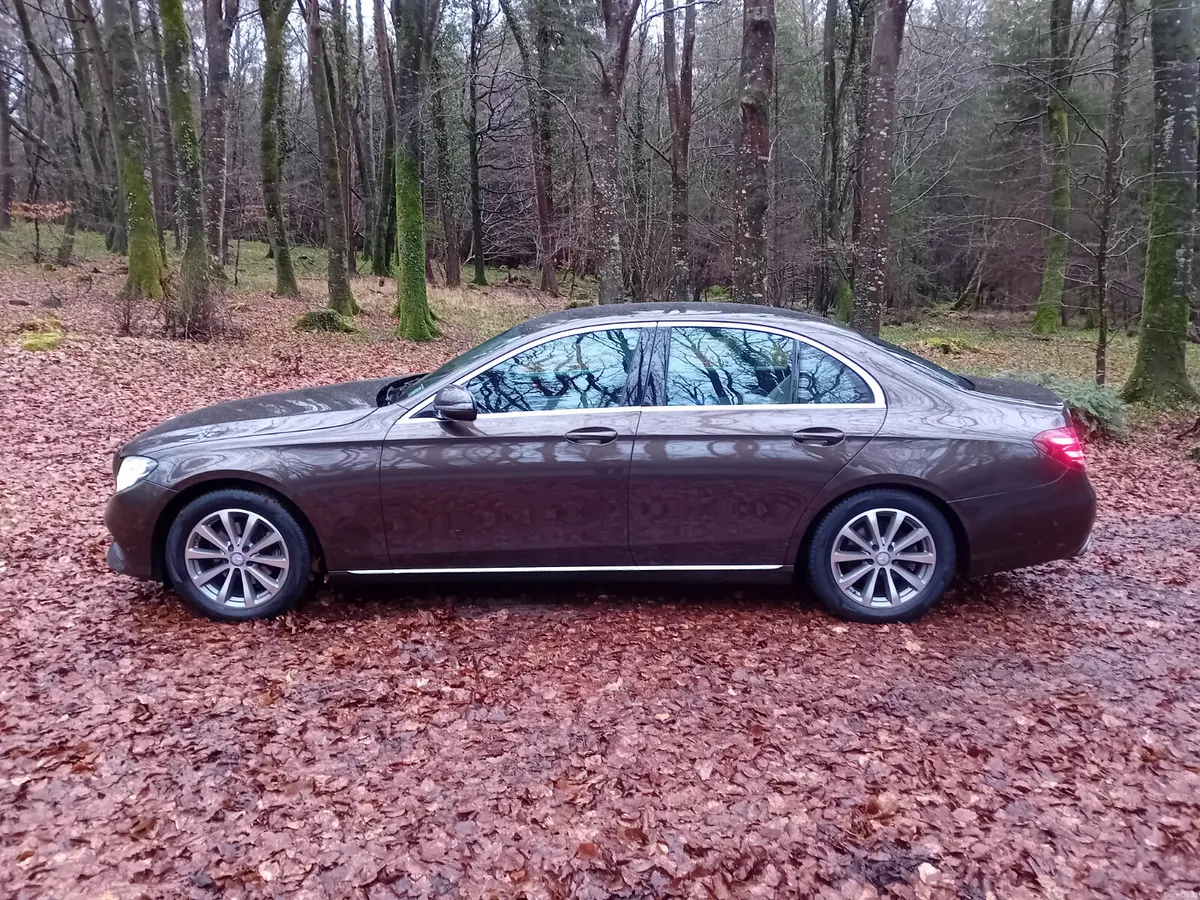 171 MERCEDES  E220D AUTO AVANTGARDE 1 OWNER - Image 4