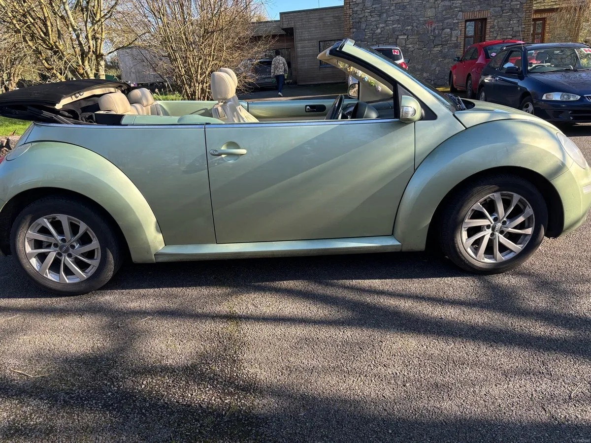 volkswagen beetle - Image 2