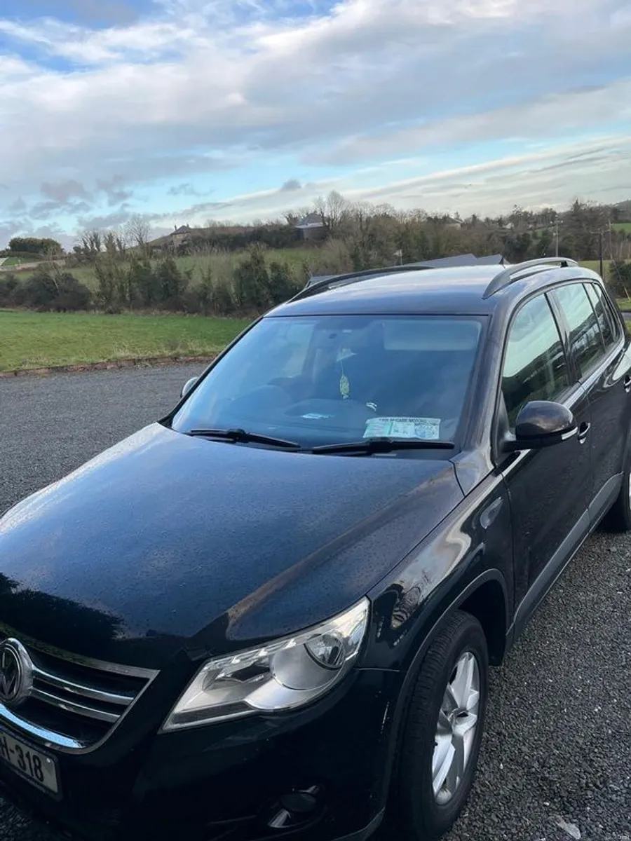 2010 Volkswagen Tiguan - Image 2