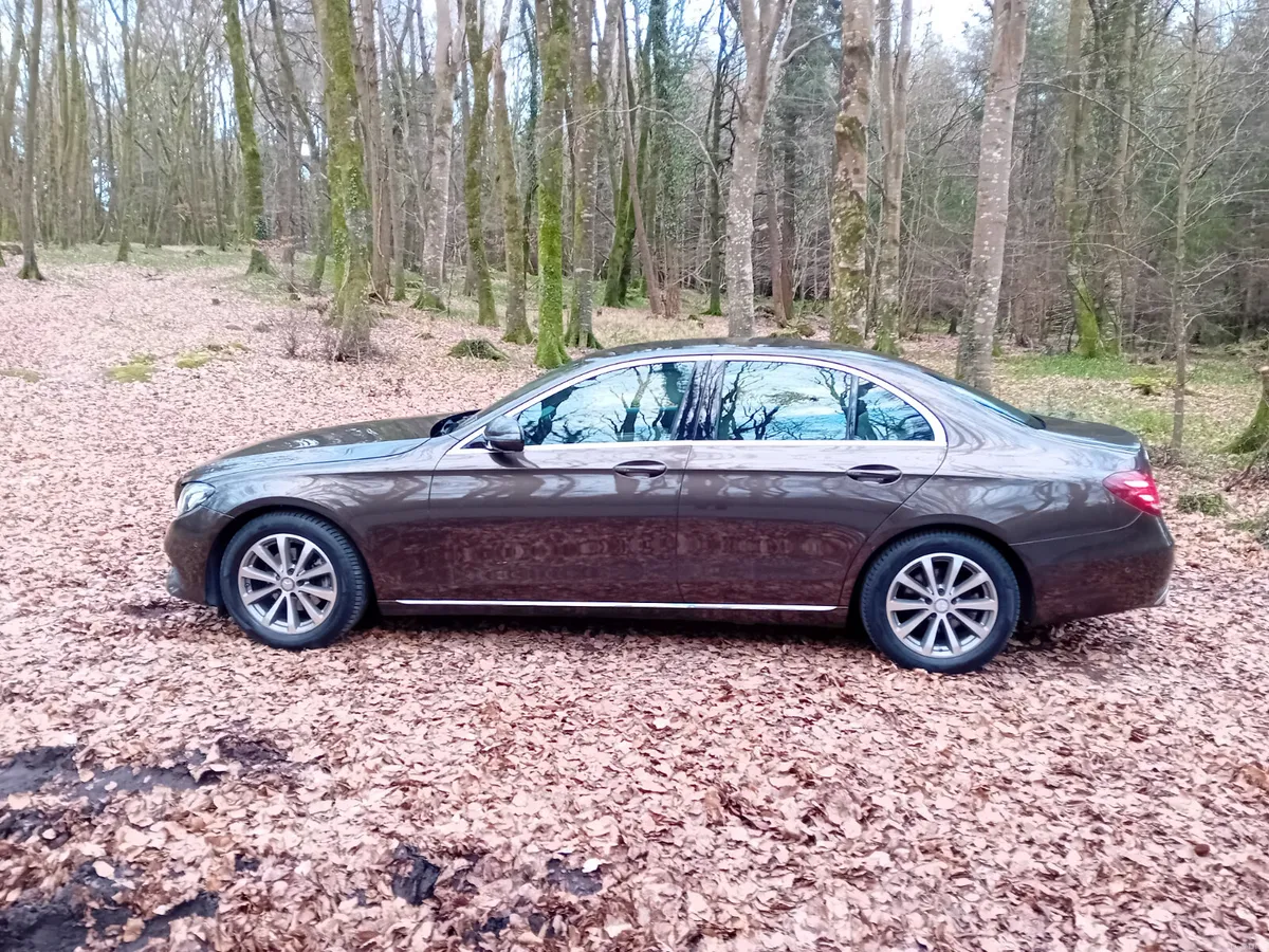 171 MERCEDES  E220D AUTO AVANTGARDE 1 OWNER - Image 4