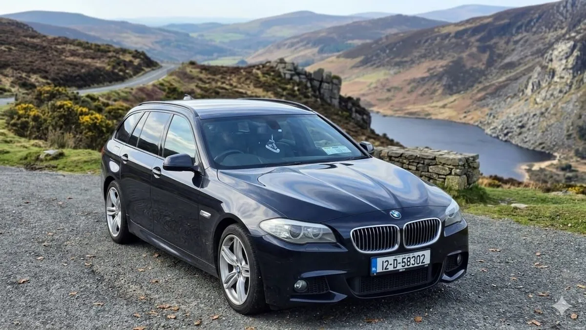 BMW 530d F11 - Image 1