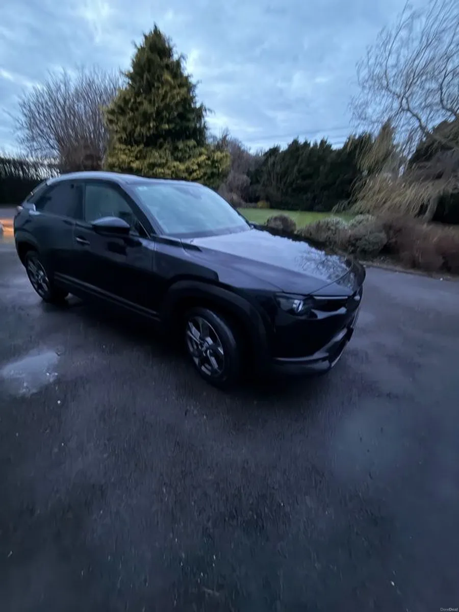 2021 Mazda Mx-30 - Image 3
