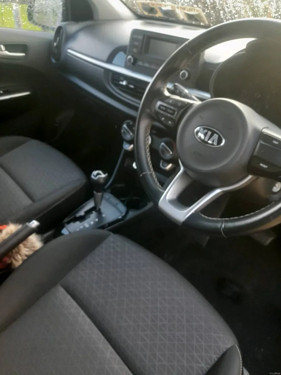 Kia picanto 1.0  automatic  2019 - Image 3
