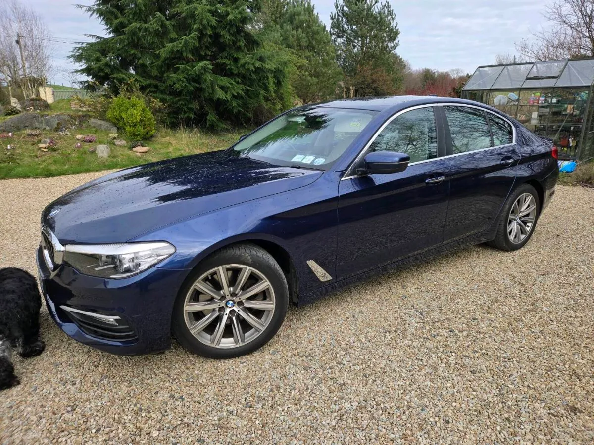 2018 BMW 520d - Image 2