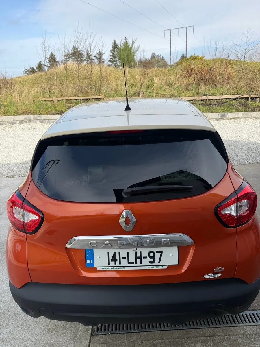Captur 2014 - Image 3