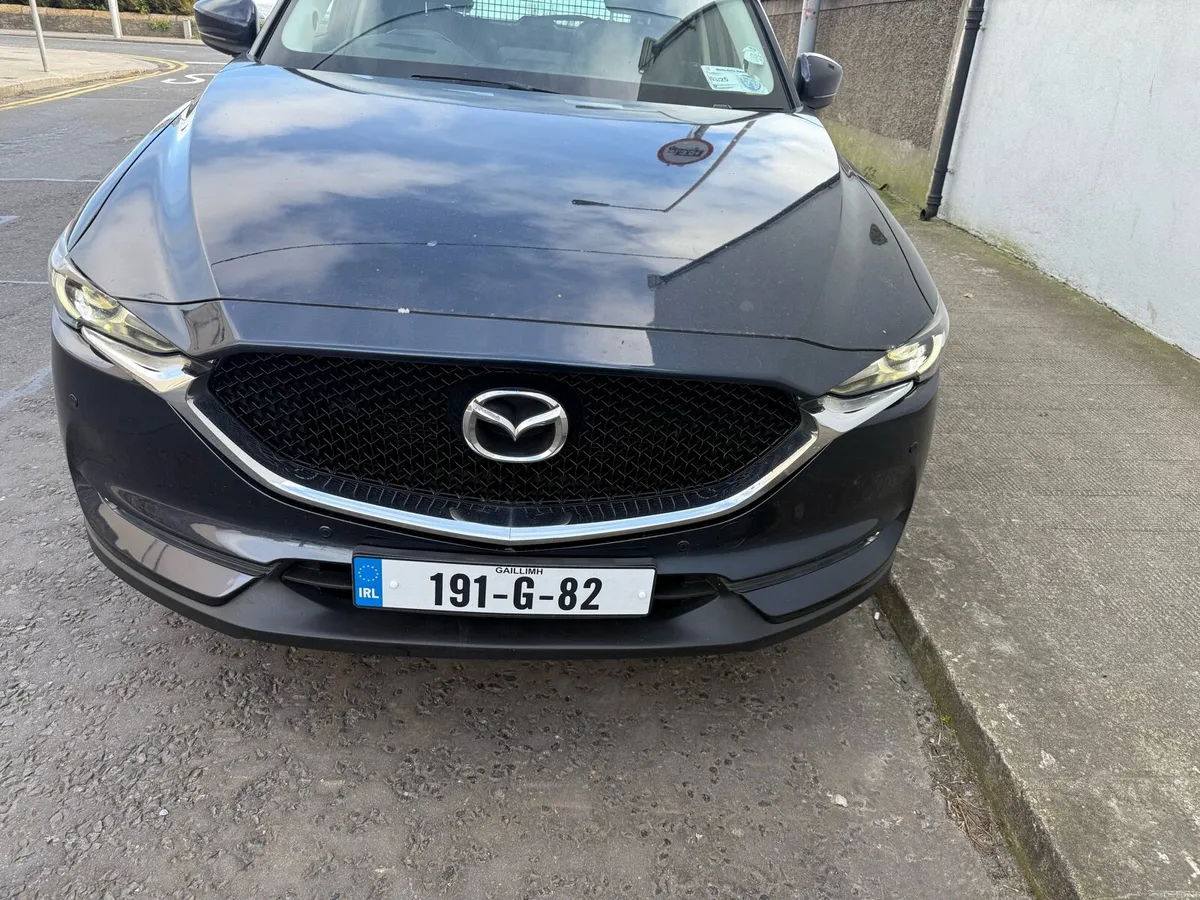 PLATINUM AUTO 4 WHEEL DRIVE 2 SEATS - Image 2