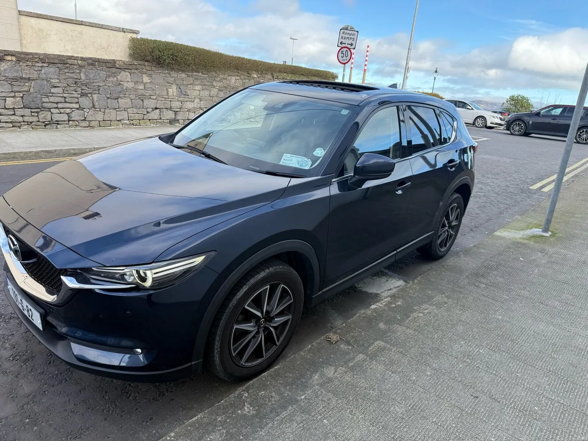 PLATINUM AUTO 4 WHEEL DRIVE 2 SEATS - Image 4