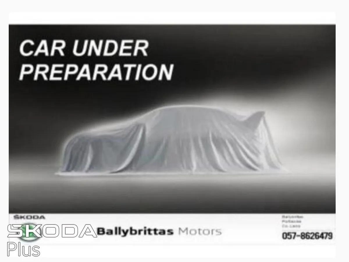 Skoda Kamiq Ambition 1.0TSI 110HP DSG - Image 2