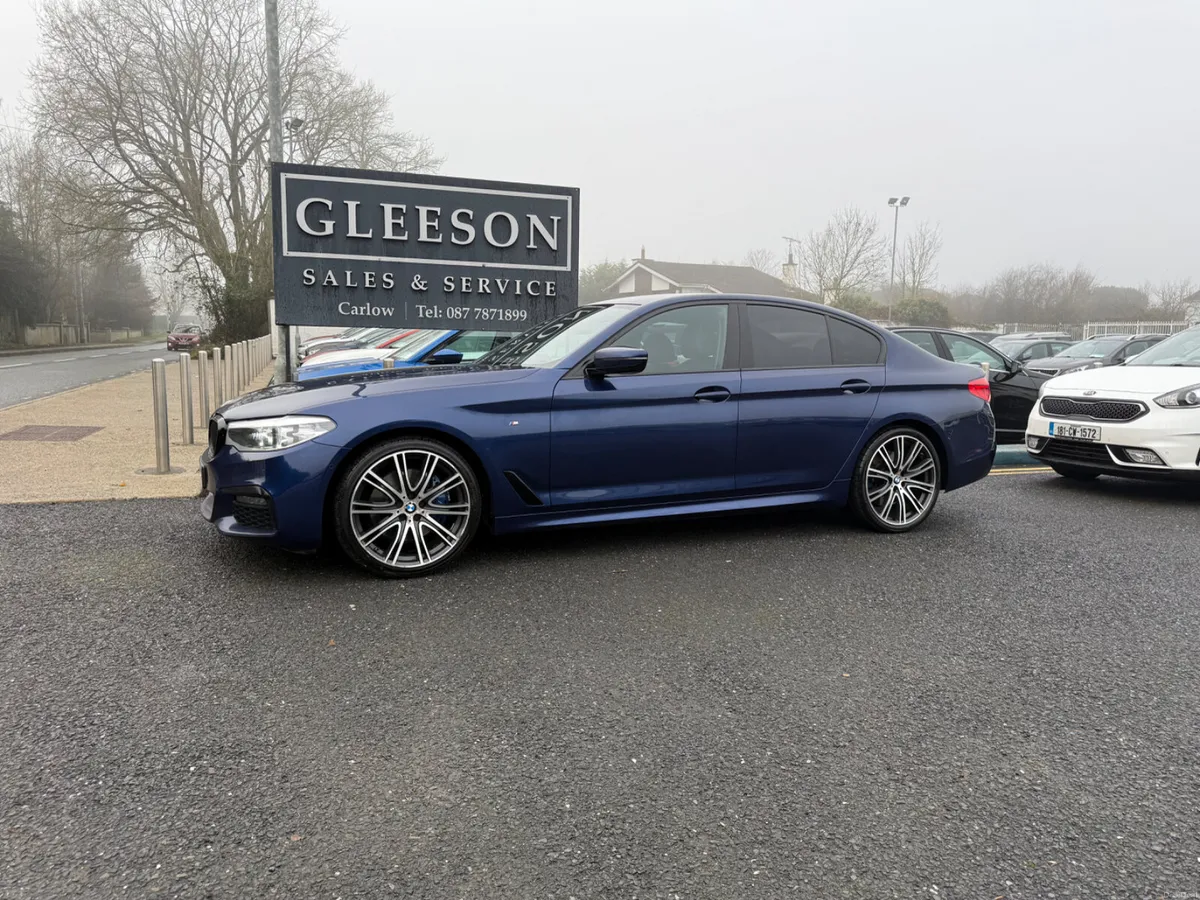 191 BMW 530D 3.0 Diesel M-Sport Auto - Low Mileage - Image 1