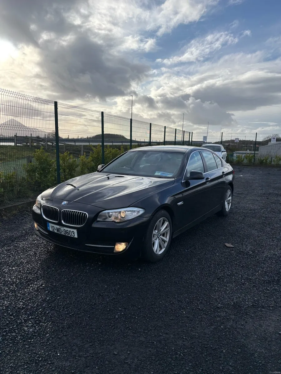 F10 520d - Image 2