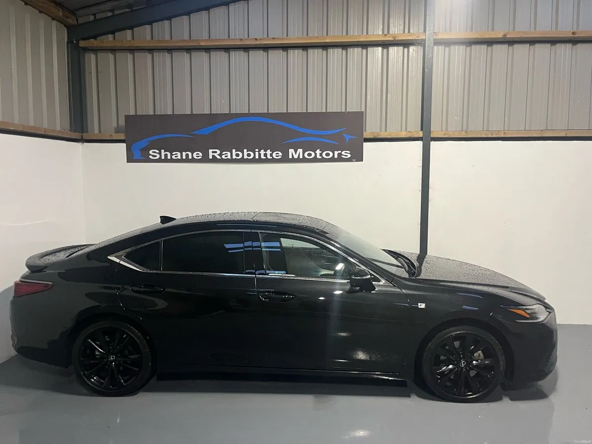232 LEXUS ES300 F SPORT ONLY 18000kms - Image 3