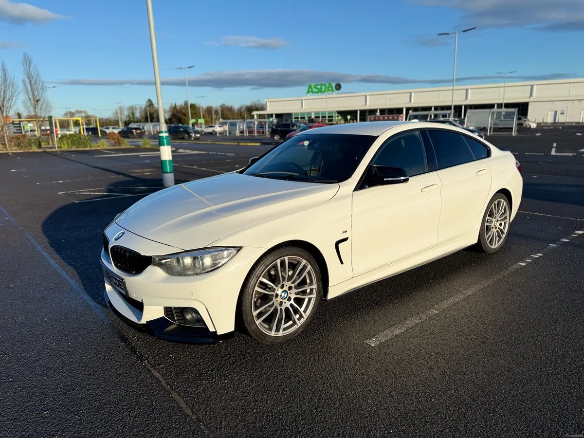 2019 bmw 420d Msport Grand Coupe Auto - Image 2