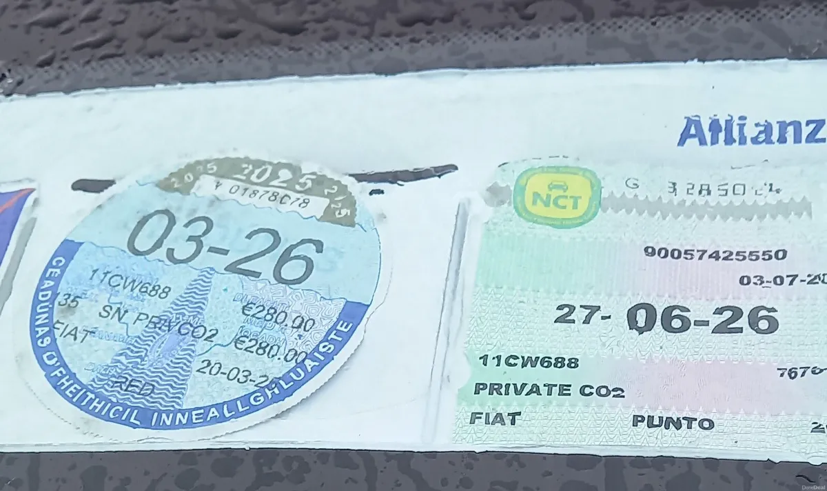 Fiat Punto 2011 - Image 3