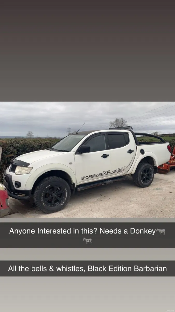 Pickup jeep 4x4 wanted - Image 4