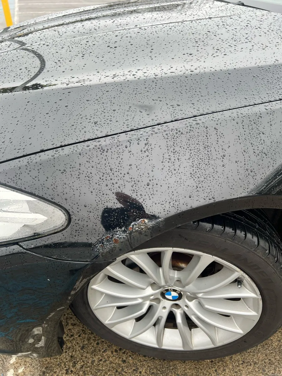 2016 5 Series 520d Luxury Model - Image 4