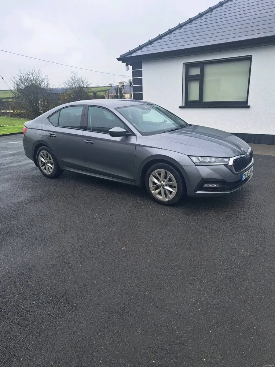 2023 octavia - Image 1