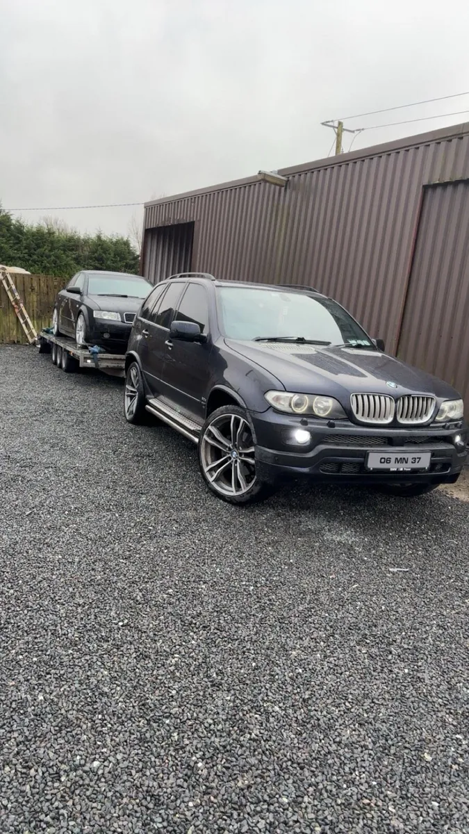 Recovery/Transport - Image 4