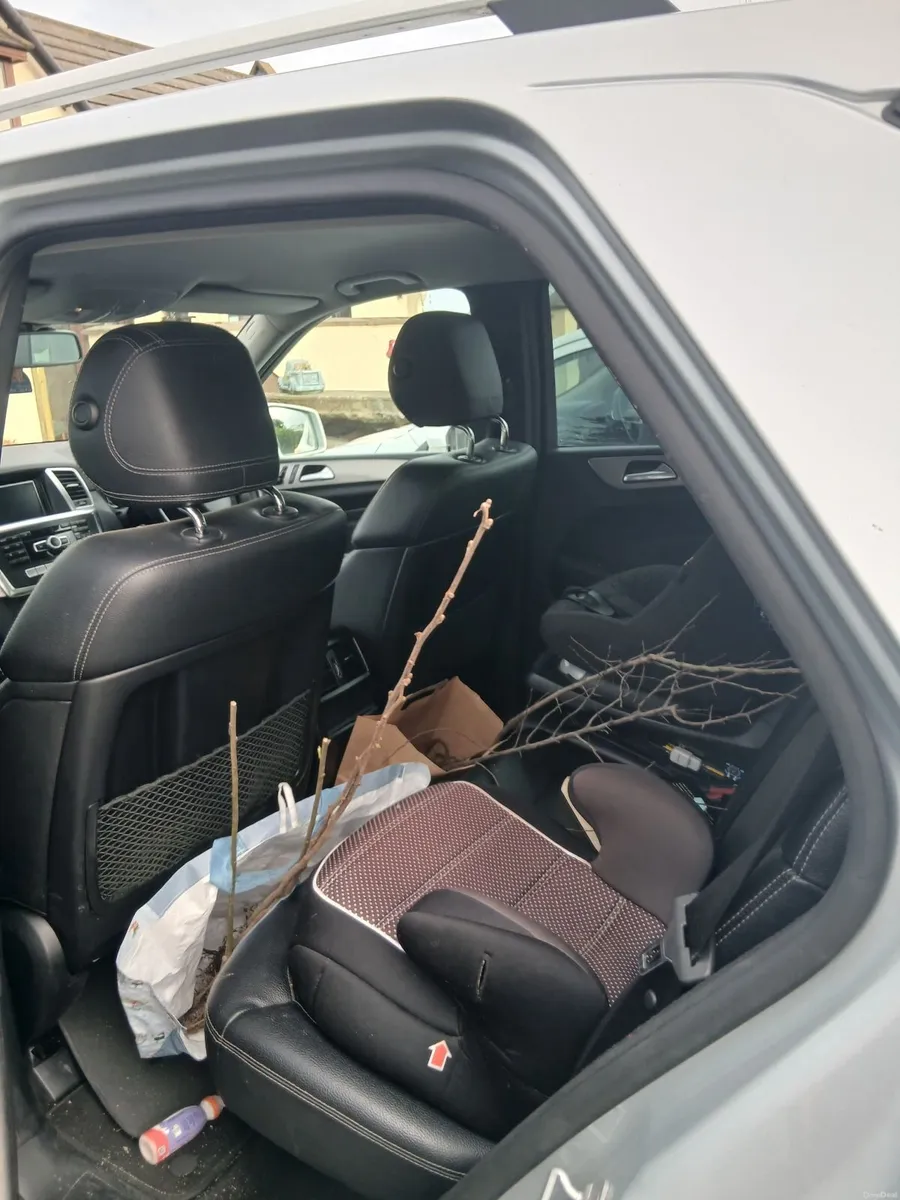 Mercedes-Benz M-Class 2013 - Image 3