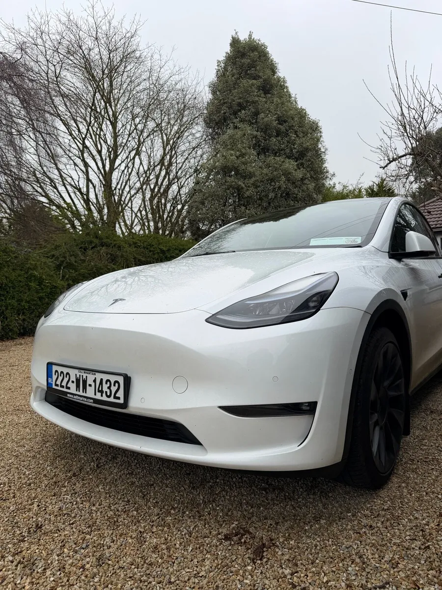 Tesla Model Y Long Range AWD - Image 1