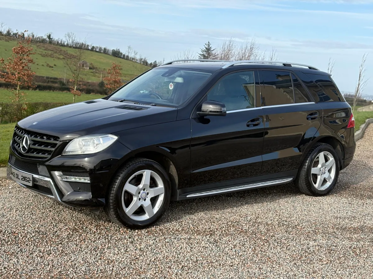 142 Mercedes-Benz M-Class ML 250 Bluetec - Image 2
