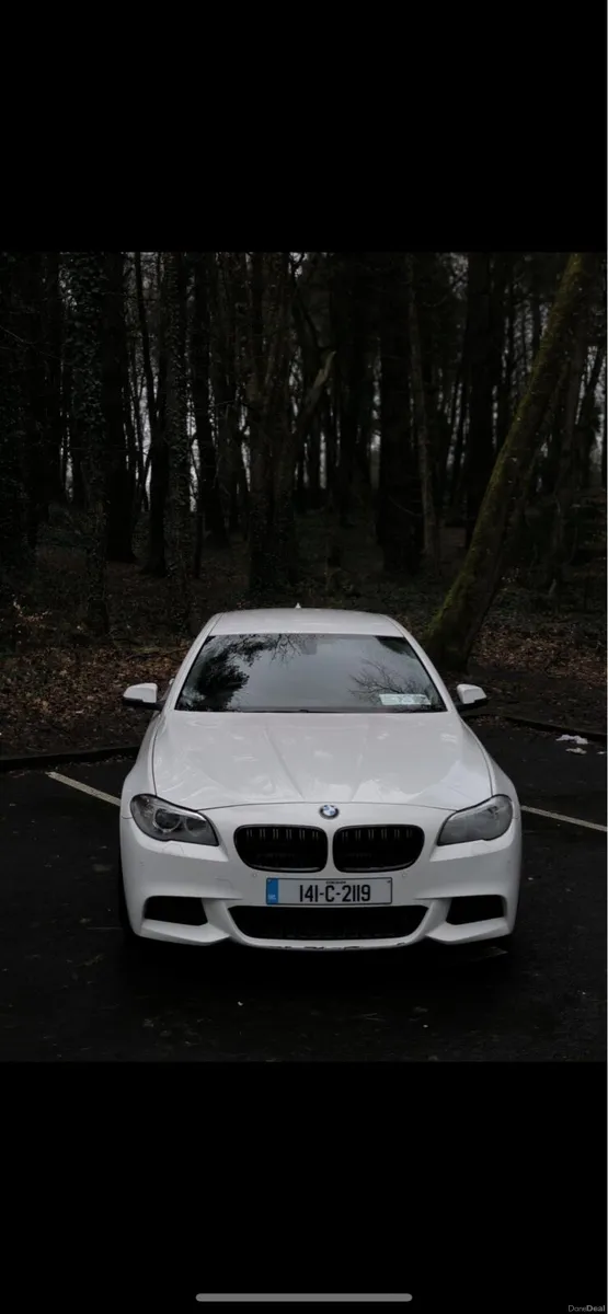 BMW 5 SERIES 2014 F10 - Image 2